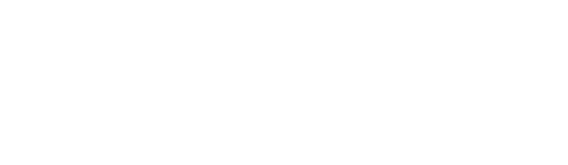 ZANNI BV — Driven by precision · Powered by vision